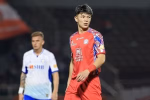 Zan Nguyễn hiện đang chờ quốc tịch Việt Nam.