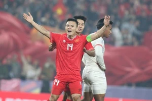 Tuyển Việt Nam được kỳ vọng sẽ đánh bại Singapore ở bán kết ASEAN Cup.