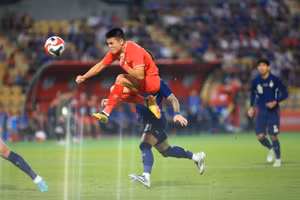 Tuyển Việt Nam vô địch AFF Cup 2024 đầy ấn tượng.