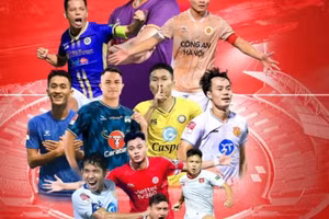 V-League 2024/2025 chính thức khai màn vào ngày 14/9 tới.