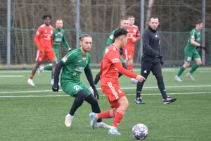 Sao trẻ Việt kiều tỏa sáng tại châu Âu