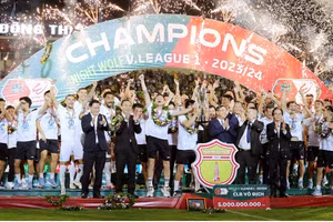 CLB Nam Định sở hữu bao nhiêu chiếc Cup vô địch?