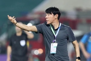 HLV Shin Tae-yong chưa từng thắng Việt Nam ở AFF Cup trong những năm qua.