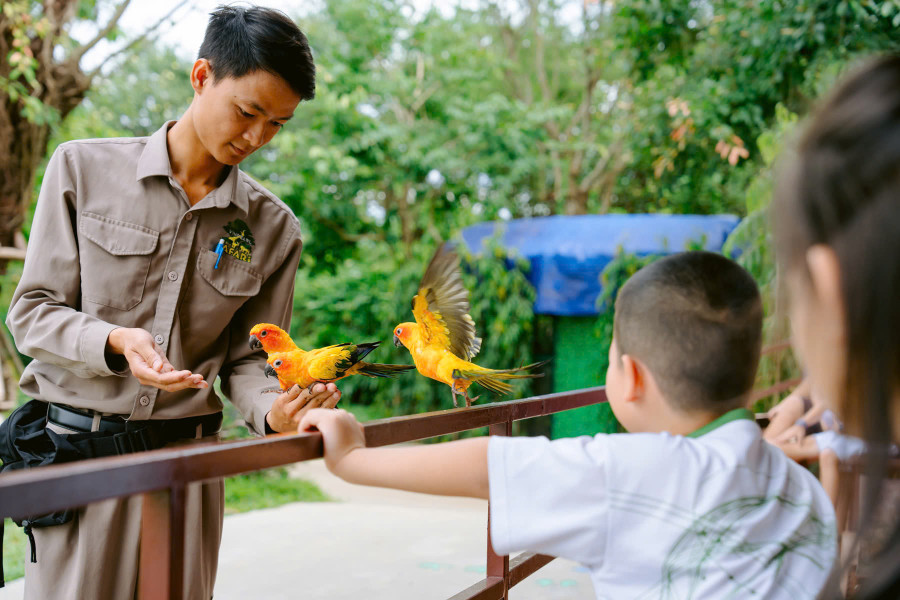 Show diễn chim - “ tân binh” mới nổi của mùa hè 2025. Ảnh: VinWonders. 2-vin.jpg