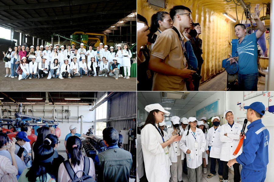 Học viên khóa tập huấn Bước chân sinh thái tham quan các đơn vị sản xuất trực thuộc Tập đoàn TH và lắng nghe các chuyên gia chia sẻ về mô hình kinh tế tuần hoàn của Tập đoàn a11-tien.jpg