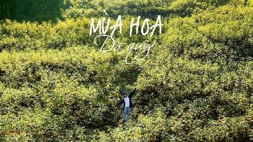 Những khu vườn hoa rực rỡ, với cỏ hoa cúc, hoa dã quỳ vàng rực.
