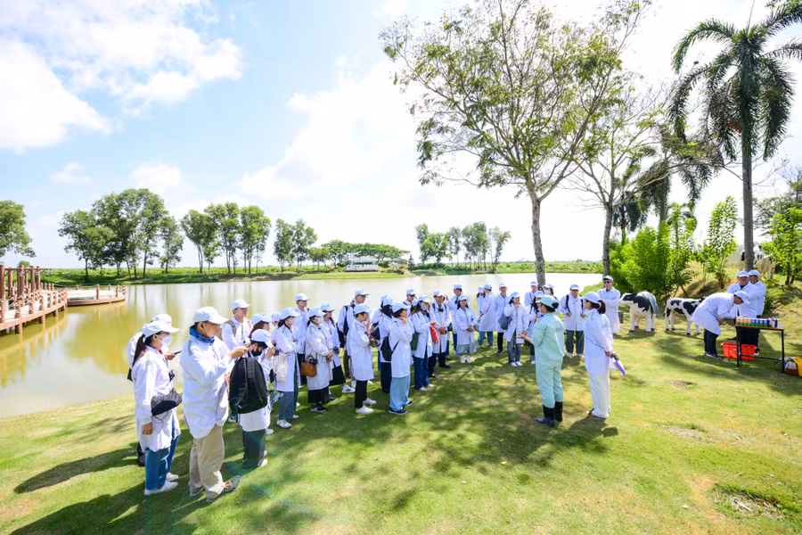 Trang trại Vinamilk Green Farm dưới lăng kính phát triển bền vững có gì đặc biệt