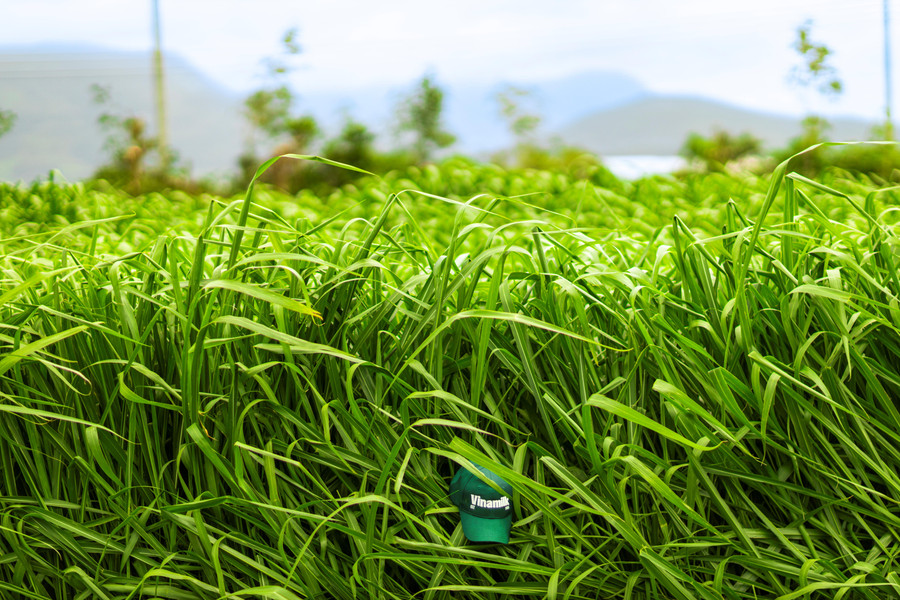7-vnm-farm-tour-vbcsd-077.jpg