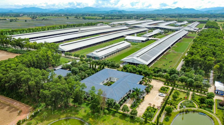 Hệ thống 15 trang trại đạt chuẩn Organic châu Âu và Global S.L.P là nền tảng giúp Vinamilk chủ động nguồn nguyên liệu chất lượng cao (Ảnh: Minh Anh). anh-2a-1-vnm.jpg