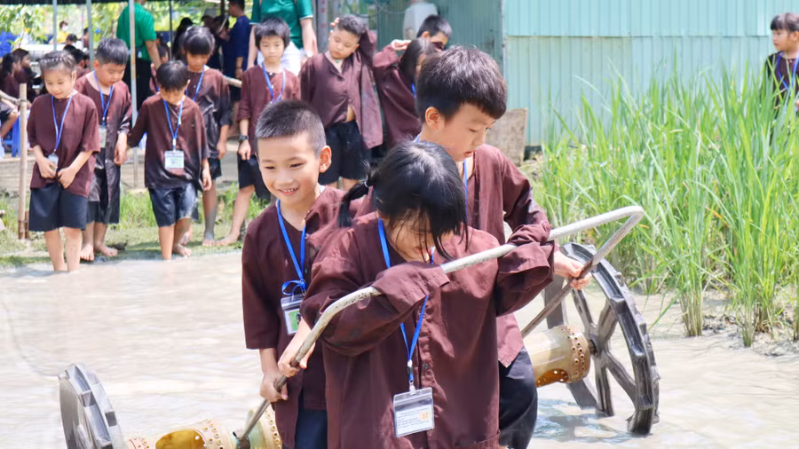 Ảnh 3 (1) TRE VIỆT.JPG