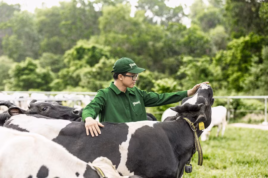 Hình 2a VNM-min.jpg