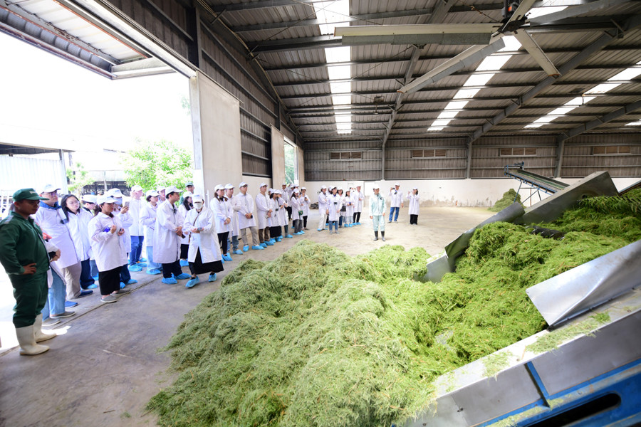6-vnm-farm-tour-vbcsd-066.jpg