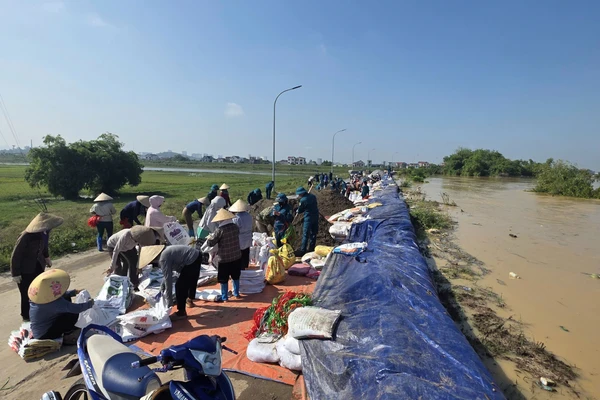 Hàng nghìn người dân cùng lực lượng chức năng khẩn trương gia cố tuyến đê Đẩu Hàn (phường Kinh Bắc, tỉnh Bắc Ninh) nhằm ứng phó với tình trạng nước sông Cầu dâng cao.