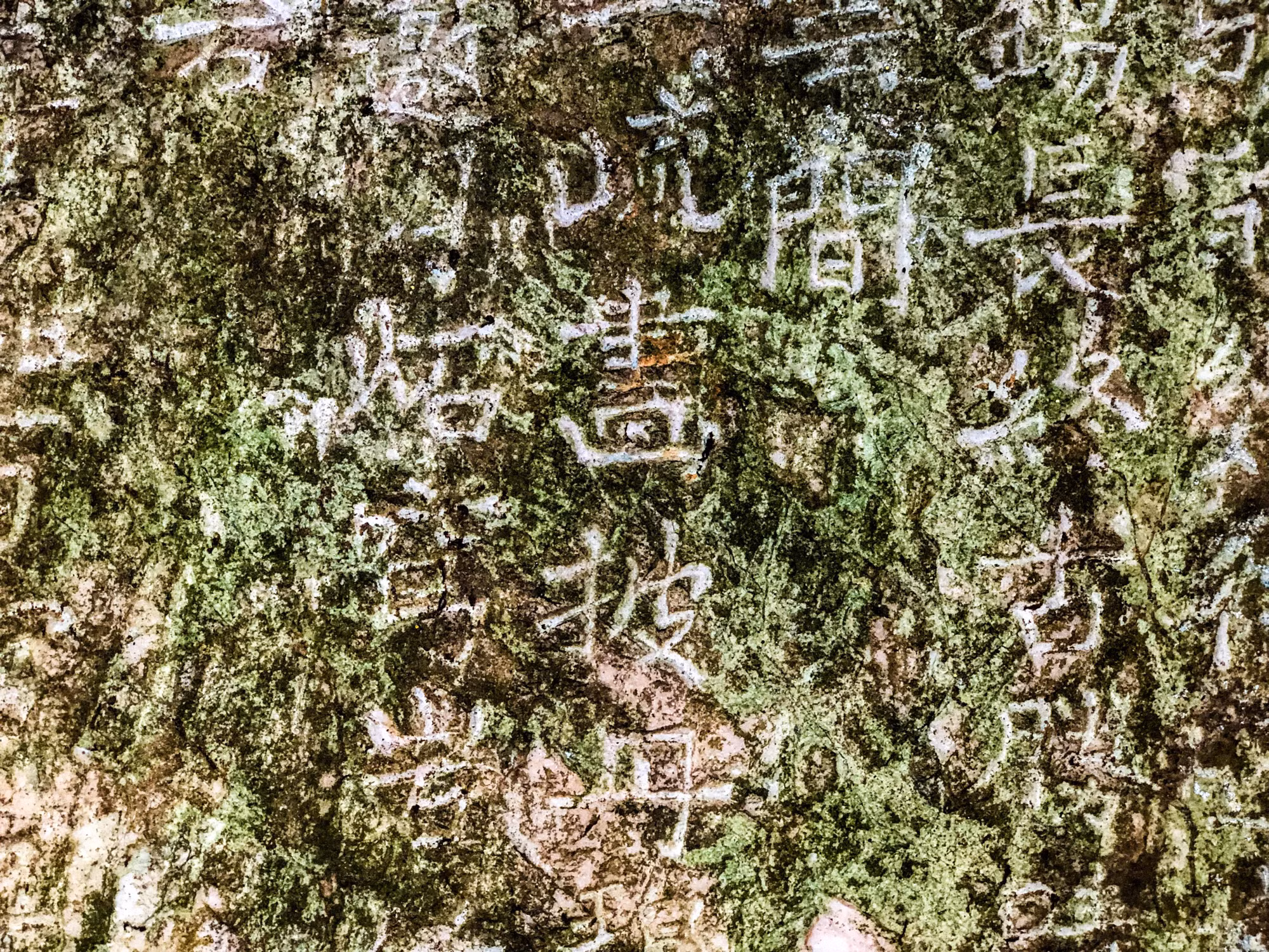 Ẩn chứa trong nguồn di sản tư liệu này là hệ giá trị trên nhiều mặt như lịch sử, nghệ thuật, văn hóa và khoa học. Mỗi giá trị là sự khẳng định nét văn hóa Việt Nam trong tầng sâu tâm thức của cư dân bản địa.