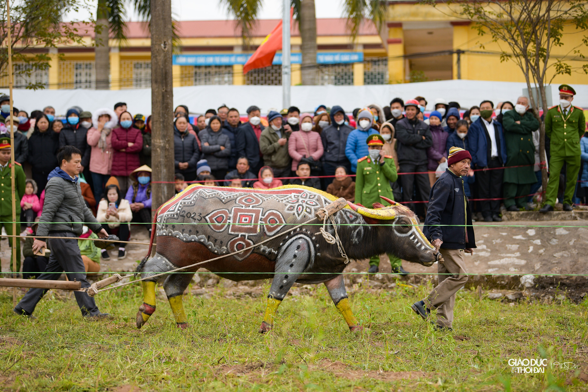 Trước đó, hội thi vẽ trâu đã được tổ chức. Những chú trâu được 'trang trí' đẹp mắt với hoa văn và hình con mèo, con giáp của năm 2023. Trước đó, hội thi vẽ trâu đã được tổ chức. Những chú trâu được 'trang trí' đẹp mắt với hoa văn và hình con mèo, con giáp của năm 2023.