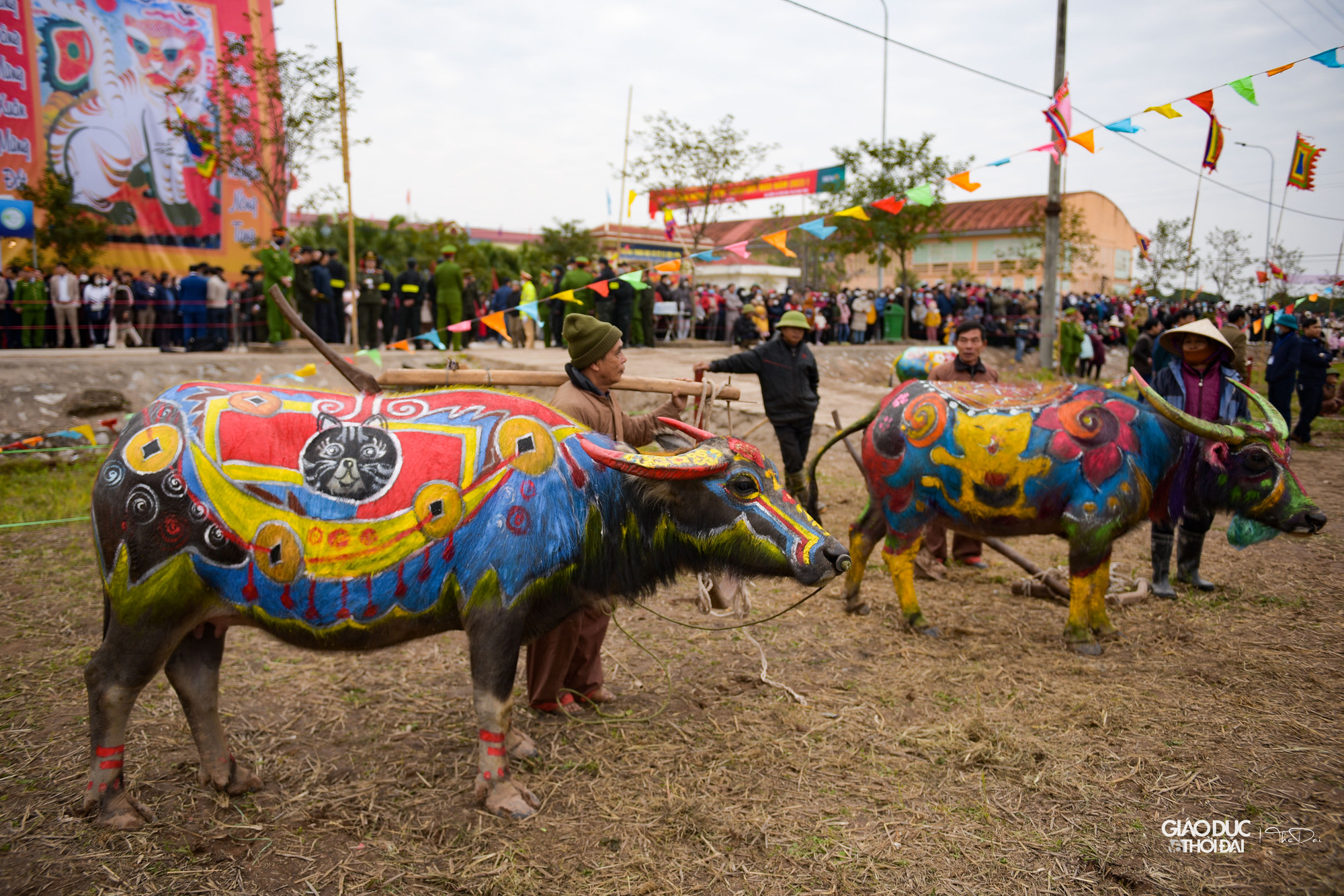 Trước đó, hội thi vẽ trâu đã được tổ chức. Những chú trâu được 'trang trí' đẹp mắt với hoa văn và hình con mèo, con giáp của năm 2023. Trước đó, hội thi vẽ trâu đã được tổ chức. Những chú trâu được 'trang trí' đẹp mắt với hoa văn và hình con mèo, con giáp của năm 2023.