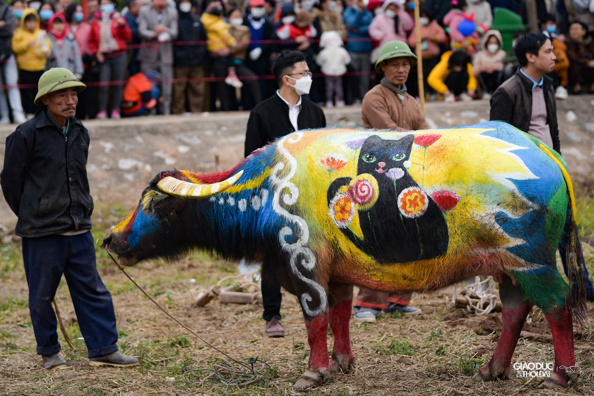 Trước đó, hội thi vẽ trâu đã được tổ chức. Những chú trâu được 'trang trí' đẹp mắt với hoa văn và hình con mèo, con giáp của năm 2023. Trước đó, hội thi vẽ trâu đã được tổ chức. Những chú trâu được 'trang trí' đẹp mắt với hoa văn và hình con mèo, con giáp của năm 2023.