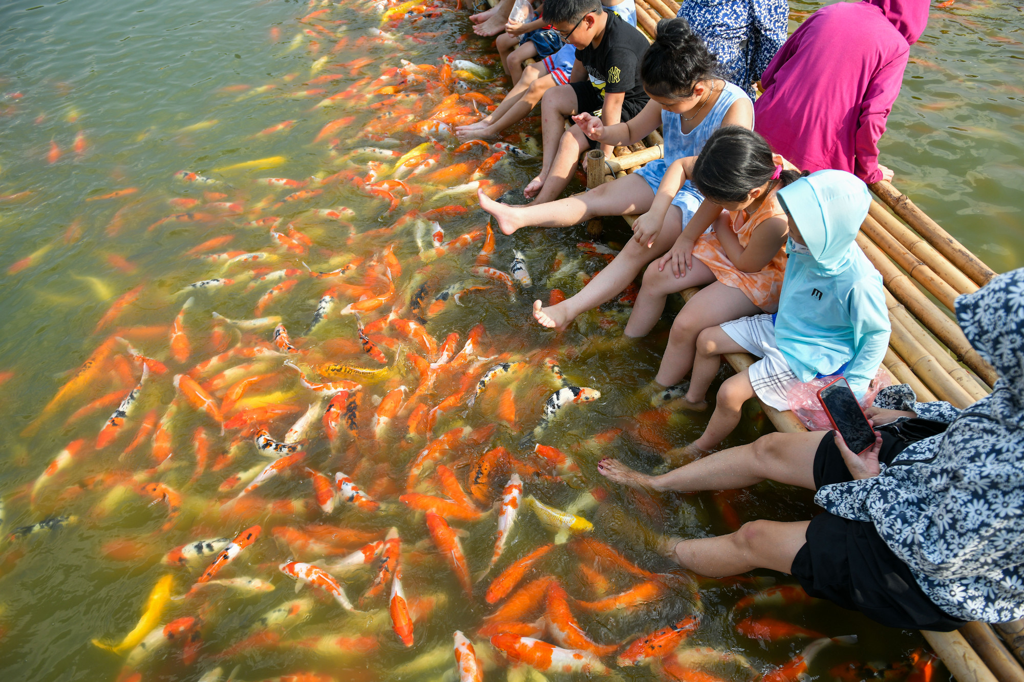 Trẻ em rất thích thú với hoạt động cho cá ăn và nô đùa, thả chân xuống hồ cho &quot;cá ăn&quot;.