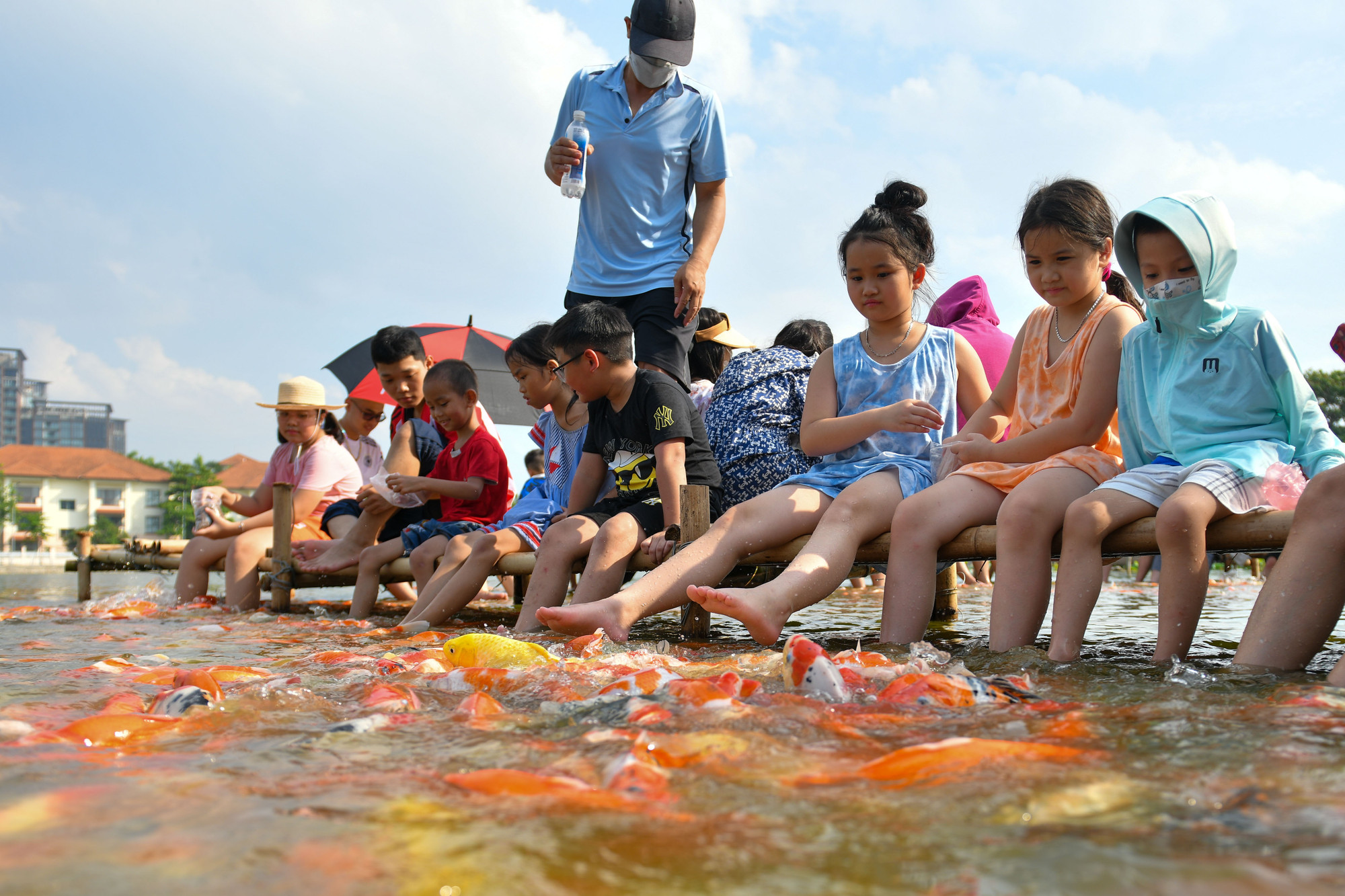 Từ khi có hồ cá koi mọi người đến đây nhiều hơn.