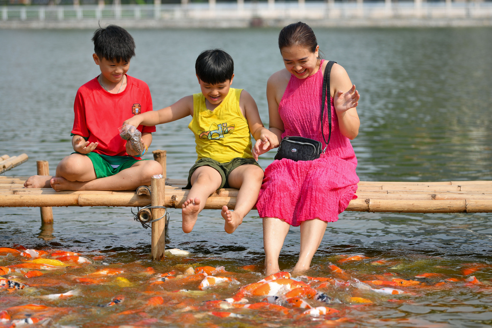 Trước đây, hồ nước này được tận dụng để trồng sen và thường thu hút khách vào mỗi dịp hè.