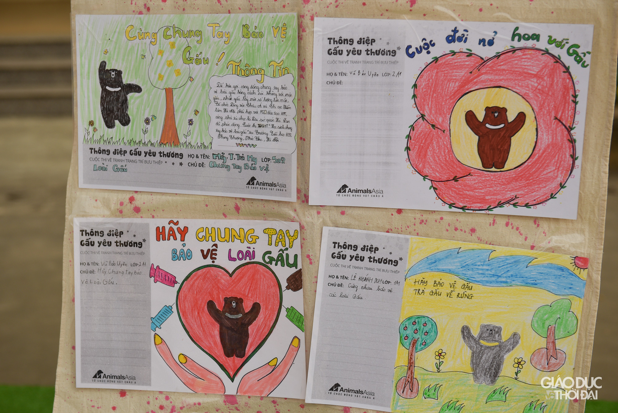 Những bài dự thi của các em học sinh không chỉ vẽ tranh miêu tả mong ước tự do, hạnh phúc cho loài gấu, mà còn truyền tải thông điệp hãy hành động bảo vệ loài động vật hoang dã quý hiếm này.