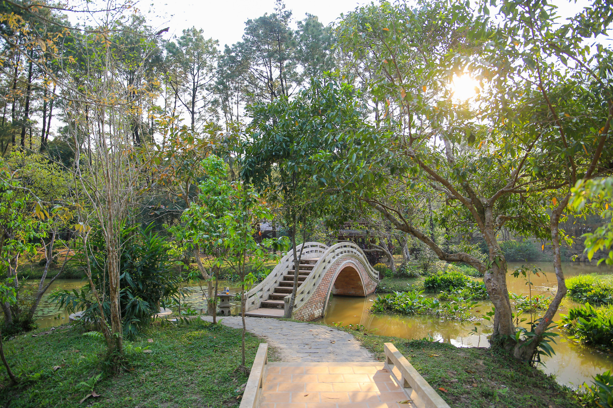 Khu vườn xanh mát và tràn ngập màu sắc với những cây xanh và các loài hoa như: hoa sứ, phong lan, vạn tuế, trúc, mai,... và đan xen vào đó là nhiều bức tượng Phật. Khu vườn xanh mát và tràn ngập màu sắc với những cây xanh và các loài hoa như: hoa sứ, phong lan, vạn tuế, trúc, mai,... và đan xen vào đó là nhiều bức tượng Phật.