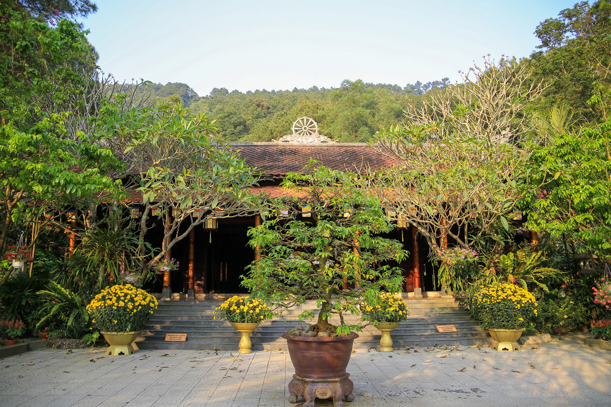 Chùa được thiết kế gồm 2 khu vực chính là Ngoại viện và Nội viện. Chùa được thiết kế gồm 2 khu vực chính là Ngoại viện và Nội viện.