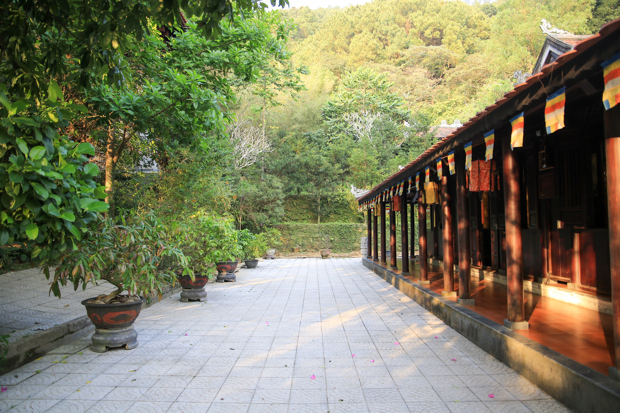 Không gian Ngoại viện có diện tích 10.000m2, gồm có Chánh điện, Am mây tía, Nghinh lương đình, nhà khách, chúng hòa đường, tăng xá, Cốc liêu chư tăng, Cốc liêu chư Ni, các công trình phụ… Không gian Ngoại viện có diện tích 10.000m2, gồm có Chánh điện, Am mây tía, Nghinh lương đình, nhà khách, chúng hòa đường, tăng xá, Cốc liêu chư tăng, Cốc liêu chư Ni, các công trình phụ…