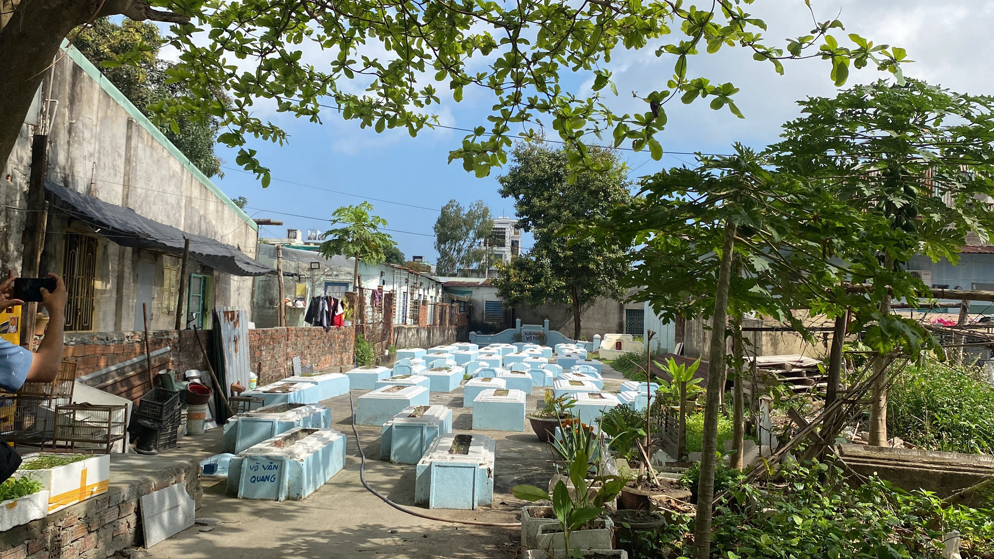 Theo số liệu mới nhất, hiện khu vực phường Hòa Khánh Nam có gần 2.000 ngôi mộ xen kẽ trong các khu dân cư.