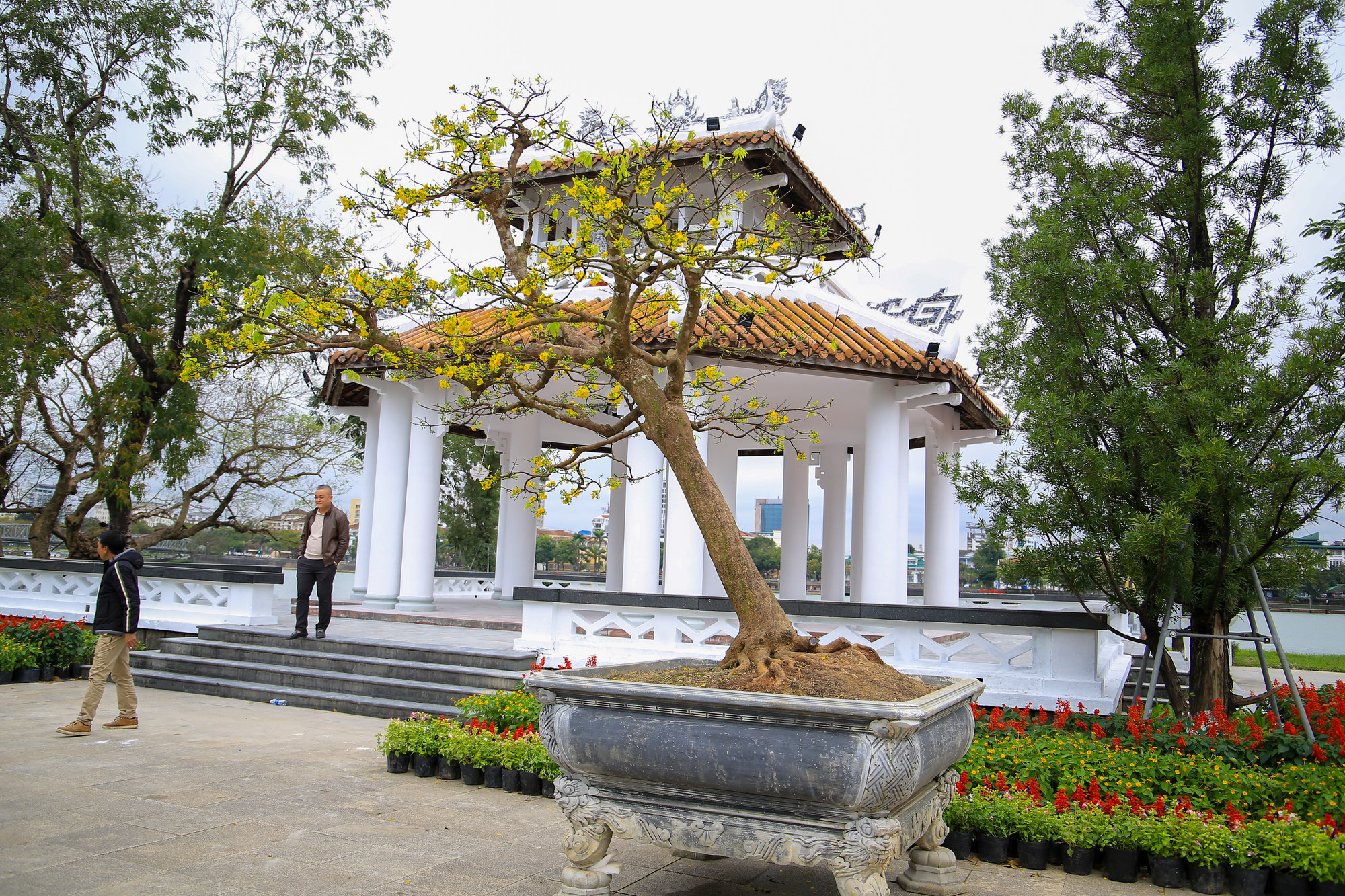 Đa dạng thể loại mai từ lớn...