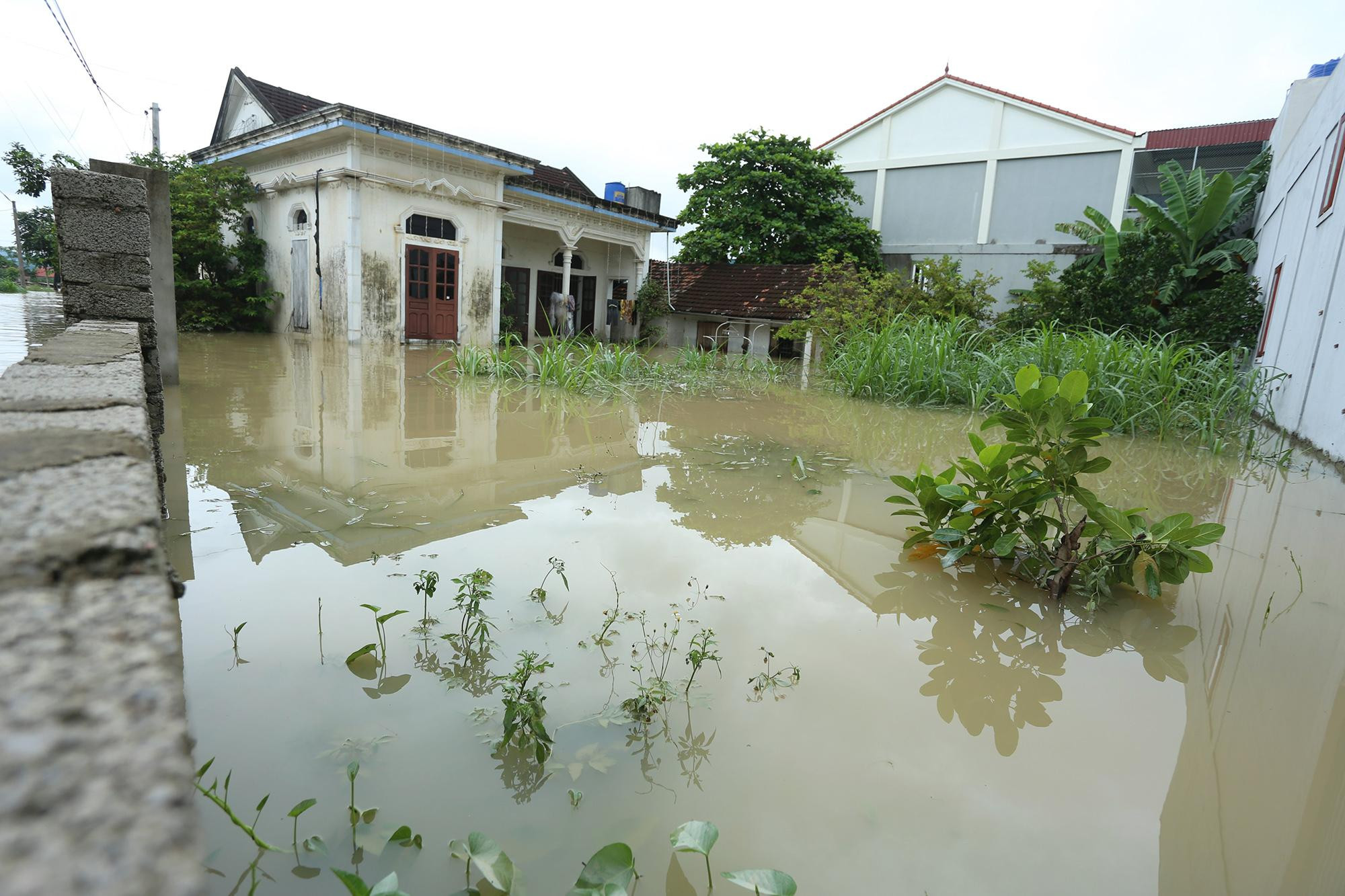 Tại xã Quỳnh Lâm, hơn 2.700 hộ bị ảnh hưởng nặng nề do nước lũ dâng cao, nhiều nhà dân bị nước ngập sâu từ 0,4-1,2 m. Chính quyền địa phương buộc phải đưa người dân di tản đến nơi ở an toàn chờ nước rút.