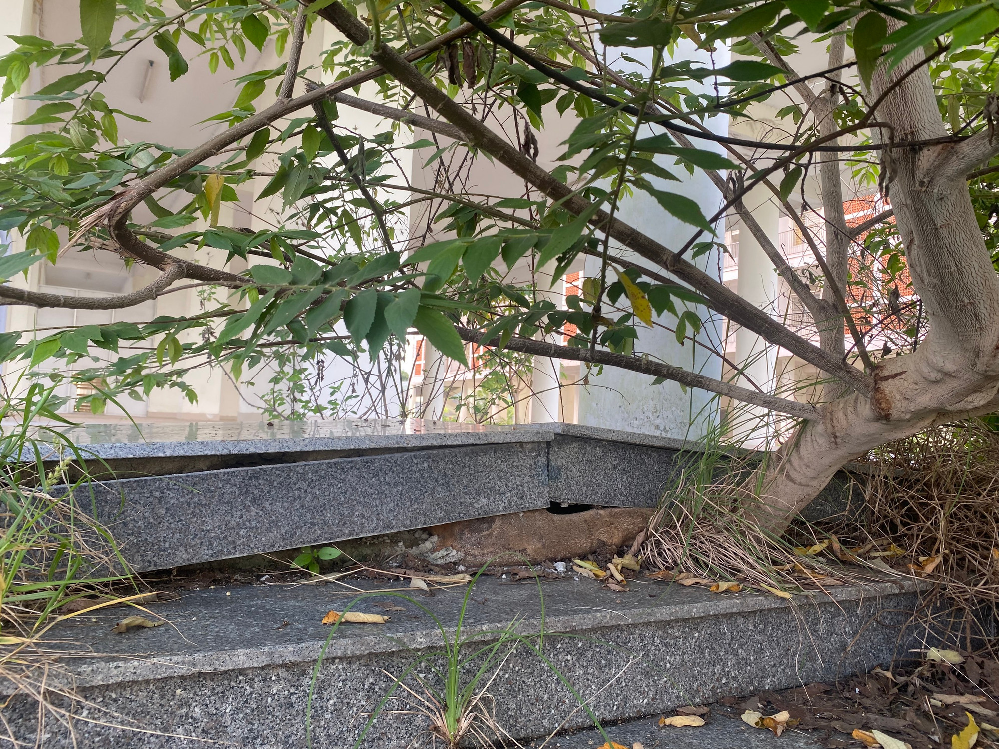 Tháng 11/2021, UBND TP Đà Nẵng có văn bản kiến nghị chuyển đổi công năng Khu Ký túc xá tập trung phía Tây thành phố và Khu Ký túc xá tập trung phía Tây thành phố mở rộng sang nhà ở công nhân.