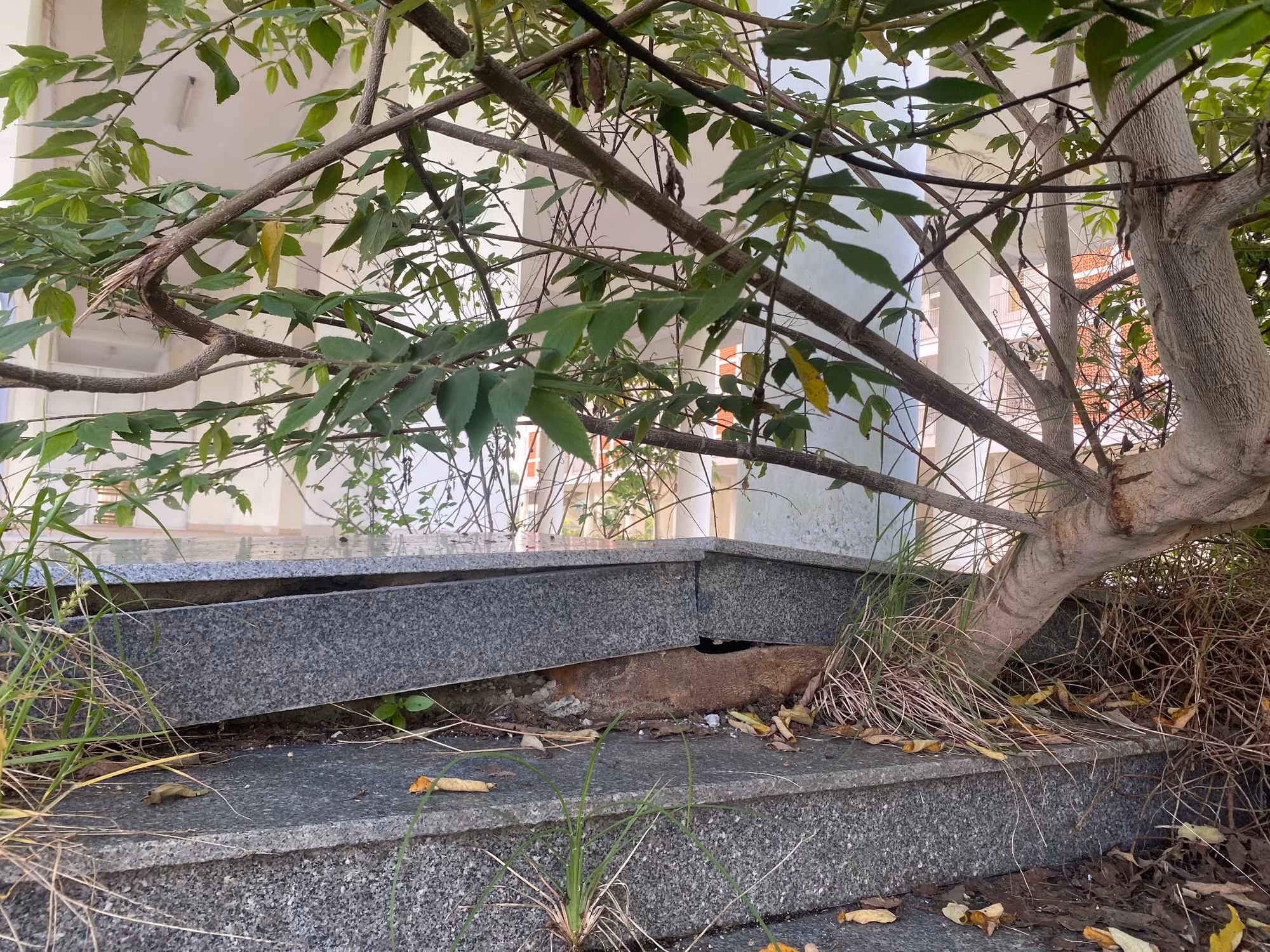 Tháng 11/2021, UBND TP Đà Nẵng có văn bản kiến nghị chuyển đổi công năng Khu Ký túc xá tập trung phía Tây thành phố và Khu Ký túc xá tập trung phía Tây thành phố mở rộng sang nhà ở công nhân.