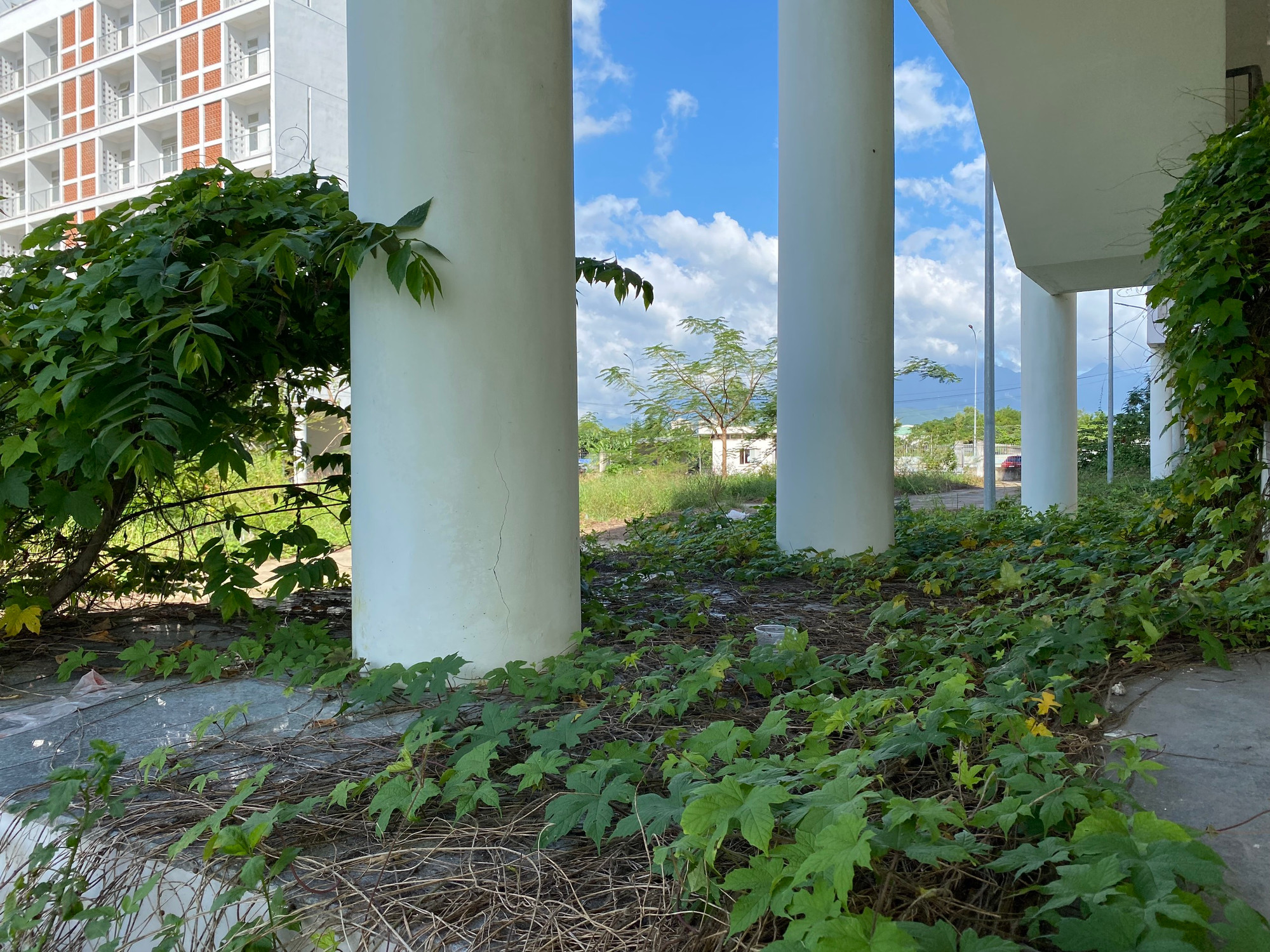 Từ đó đến nay, 7 khối nhà thuộc 2 dự án này vắng bóng người khiến nhiều hạng mục xuống cấp, cỏ cây, dây leo bò tràn vào khu ký túc xá.