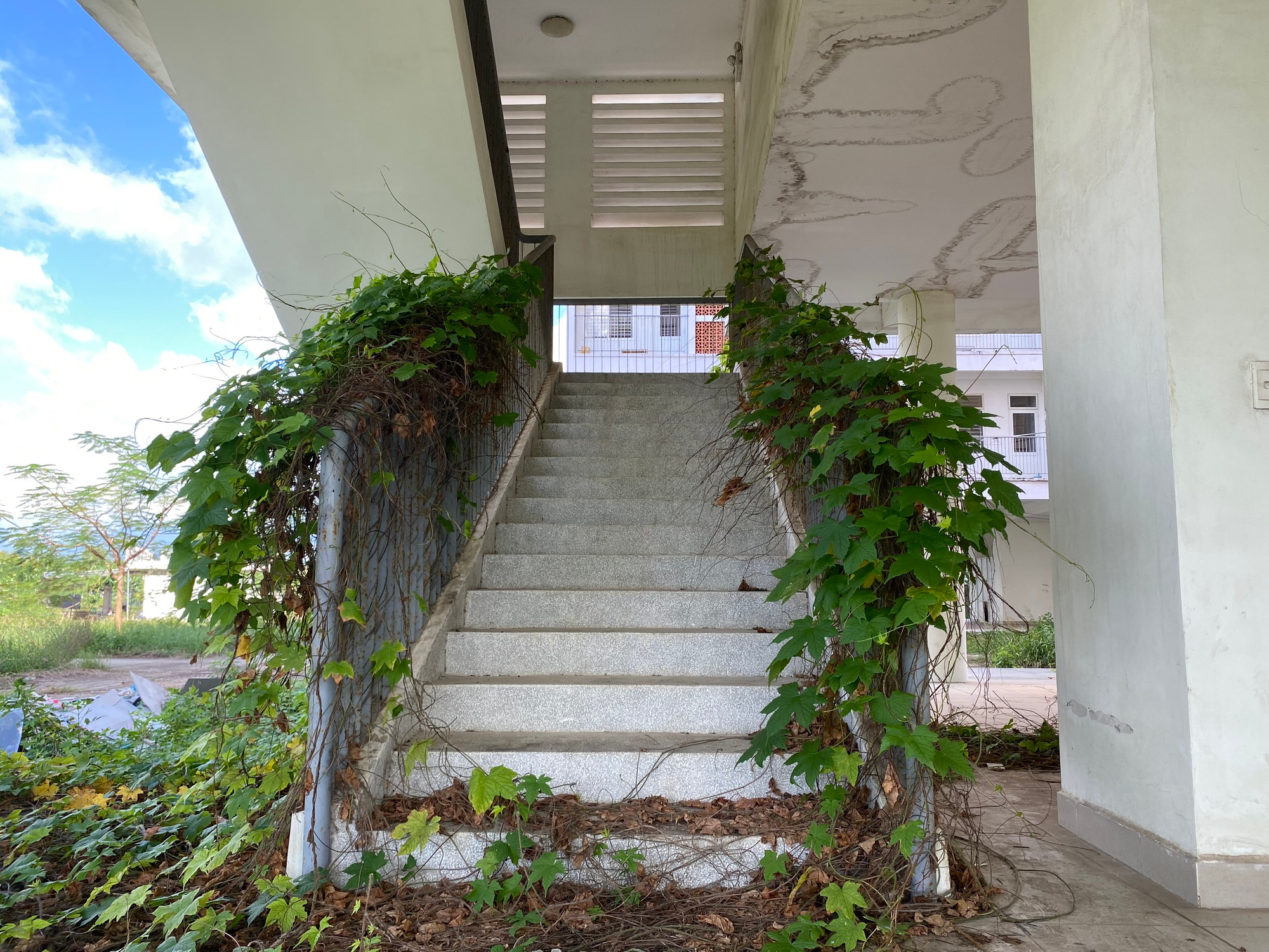 Dù được đầu tư với số tiền lớn, xây dựng khang trang nhưng cả 2 dự án hiện "im lìm", không một bóng dáng sinh viên lưu trú.