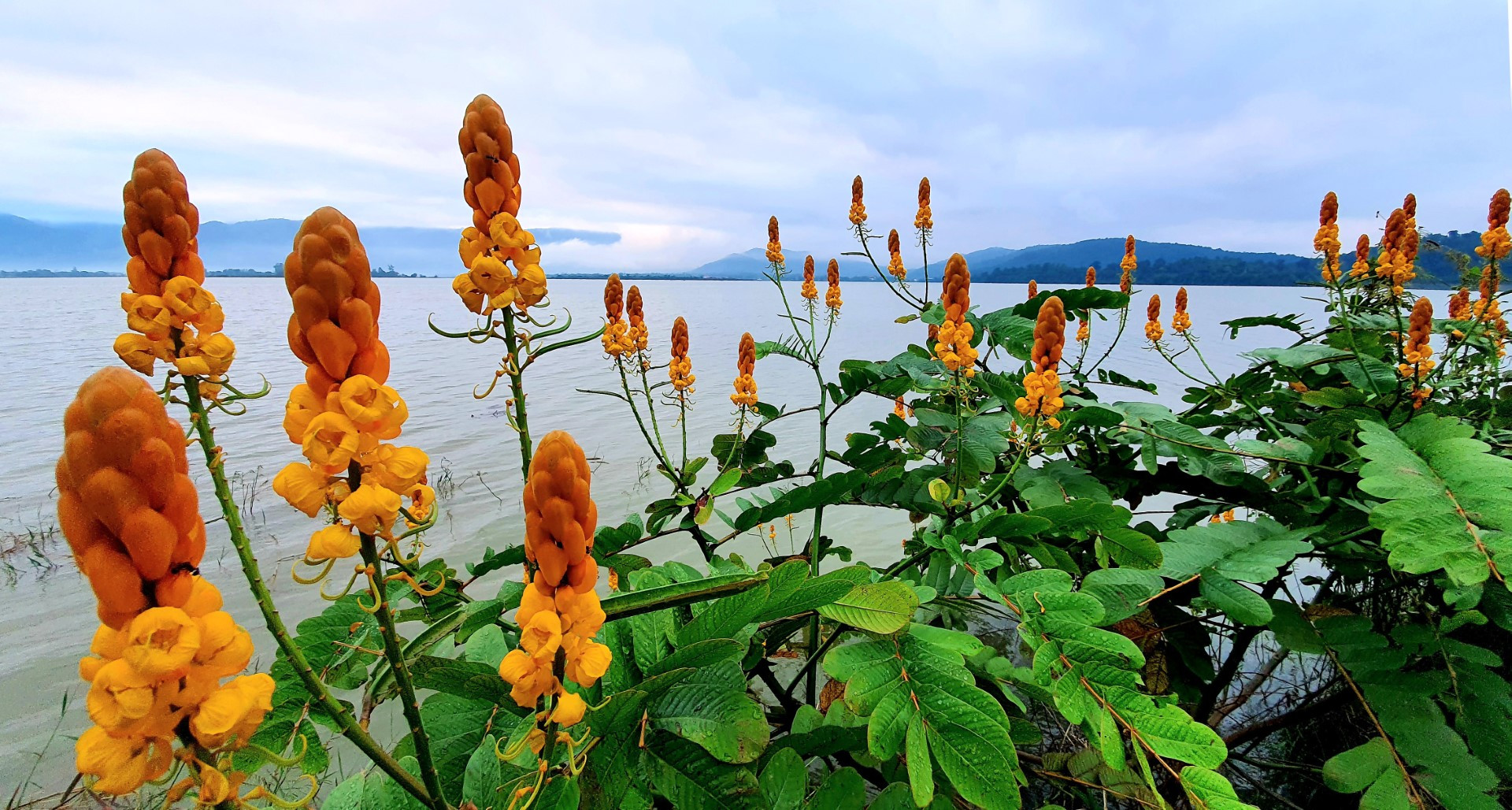 Khởi nguồn từ mạch nước trong dãy núi Chư Chang Sin và nối liền với dòng sông Krông Ana, hồ Lắk nằm ở thị trấn Liên Sơn (huyện Lắk, Đắk Lắk), là hồ nước ngọt tự nhiên lớn thứ 2 tại Việt Nam sau hồ Ba Bể (Bắc Cạn). Được bao phủ bởi những cánh rừng nguyên sinh xanh mát, dãy núi cao ngút ngàn, hồ Lắk có hệ động thực vật và nguồn thủy sản vô cùng phong phú.