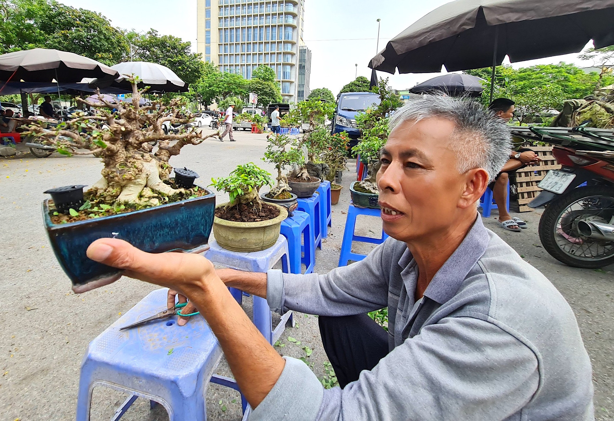 Ông Vỹ, một người có thâm niên trong nghề trồng, tạo dáng cây cảnh rao bán cây mai bonsai mini với giá khoảng 3 triệu đồng. Ông Vỹ, một người có thâm niên trong nghề trồng, tạo dáng cây cảnh rao bán cây mai bonsai mini với giá khoảng 3 triệu đồng.