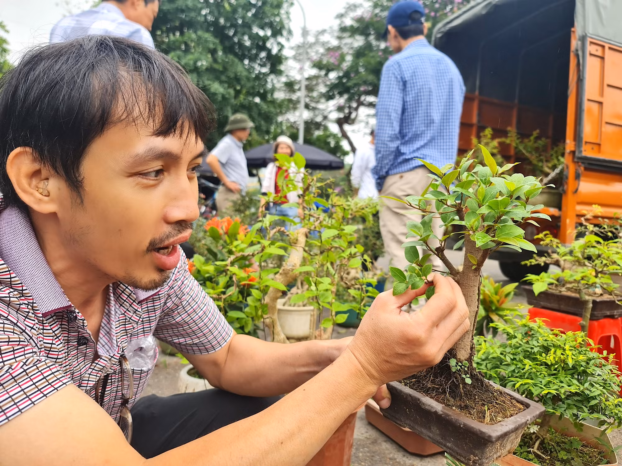 Anh Ngọc, một người khách am hiểu, có thú chơi cây cảnh đang say sưa trao đổi kinh nghiệm, kiến thức với mọi người về cách uốn, cắt tỉa, tạo thế để có một cây bonsai khỏe, đẹp.
