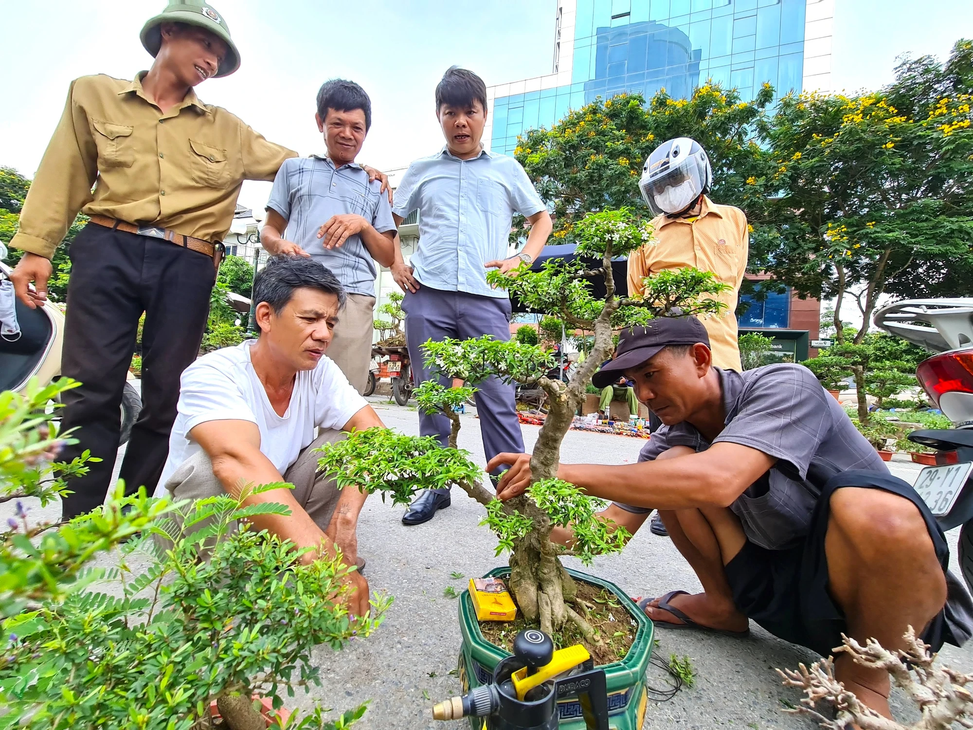 Phiên chợ hoa, cây cảnh gì cũng có.