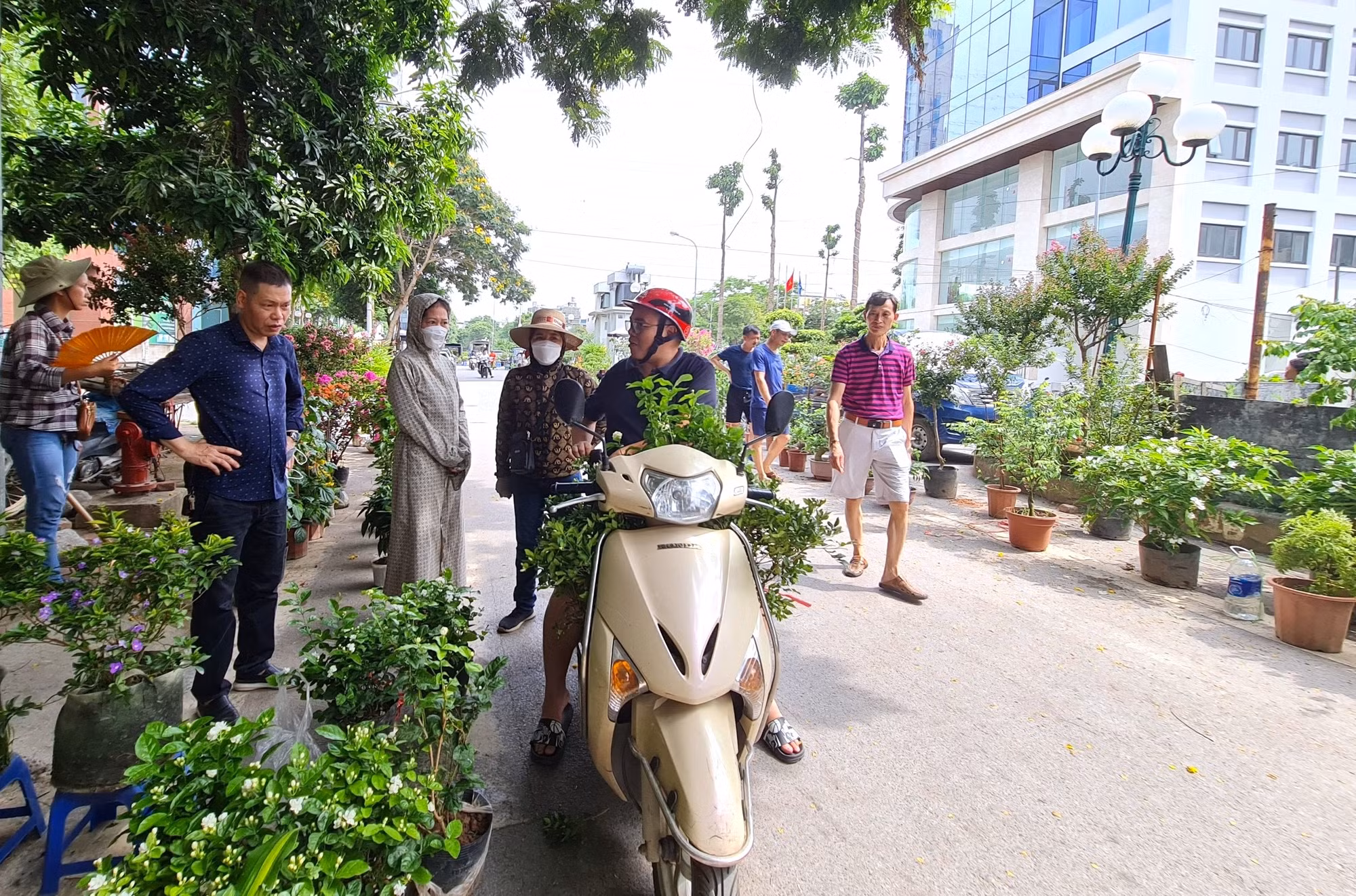 Phiên chợ hoa, cây cảnh gì cũng có, từ cây thế các loại, bonsai lớn, nhỏ như tùng, trúc, cúc, mai, si đến các loại lan, hồng, đồng tiền, hoa giấy… nhìn rất bắt mắt, thu hút khá đông khách đến xem, bình phẩm và hỏi mua.