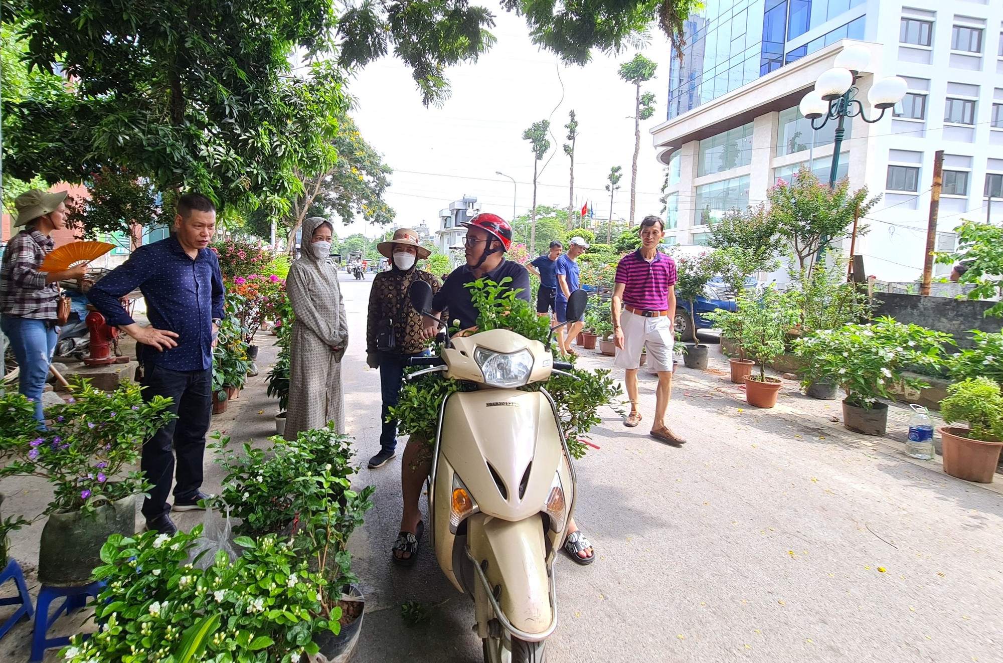 Phiên chợ hoa, cây cảnh gì cũng có, từ cây thế các loại, bonsai lớn, nhỏ như tùng, trúc, cúc, mai, si đến các loại lan, hồng, đồng tiền, hoa giấy… nhìn rất bắt mắt, thu hút khá đông khách đến xem, bình phẩm và hỏi mua. Phiên chợ hoa, cây cảnh gì cũng có, từ cây thế các loại, bonsai lớn, nhỏ như tùng, trúc, cúc, mai, si đến các loại lan, hồng, đồng tiền, hoa giấy… nhìn rất bắt mắt, thu hút khá đông khách đến xem, bình phẩm và hỏi mua.