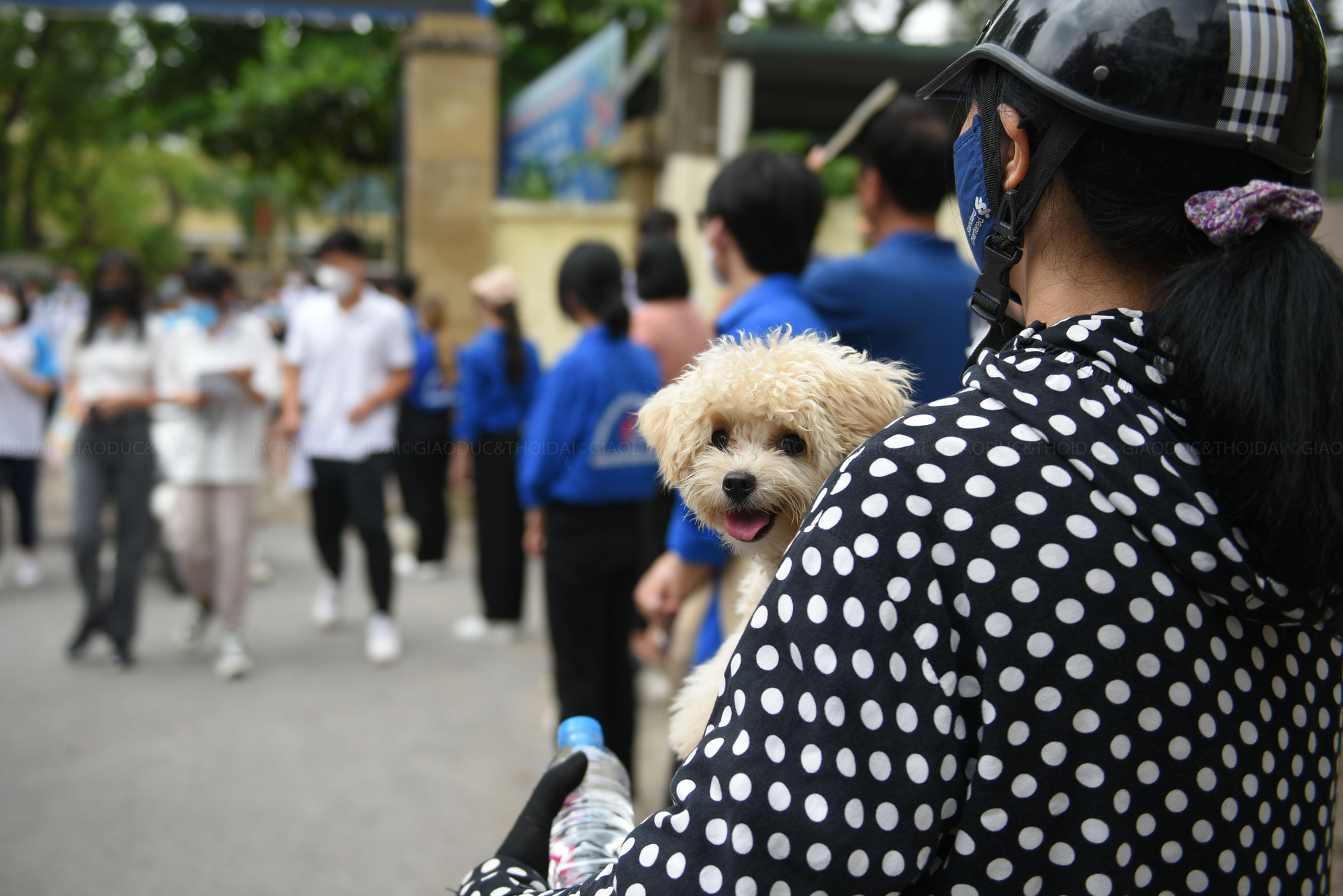 Một vị phụ huynh đã mang cả chú chó cưng của con mình đến để động viên con.