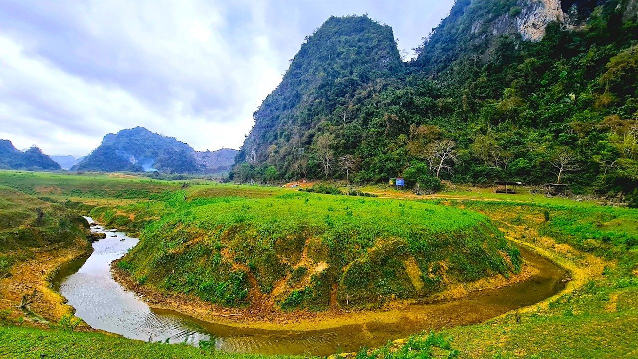 Bao bọc xung quanh thảo nguyên Đồng Lâm là khu rừng đặc dụng rậm rạp có diện tích gần 100 ha với hệ sinh thái vô cùng phong phú, đa dạng gồm 776 loài thực vật, 9 loài động vật, trong đó nhiều loài quý hiếm có tên trong Sách Đỏ.