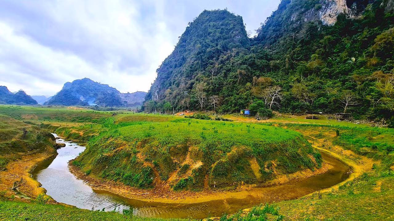Bao bọc xung quanh thảo nguyên Đồng Lâm là khu rừng đặc dụng rậm rạp có diện tích gần 100 ha với hệ sinh thái vô cùng phong phú, đa dạng gồm 776 loài thực vật, 9 loài động vật, trong đó nhiều loài quý hiếm có tên trong Sách Đỏ.