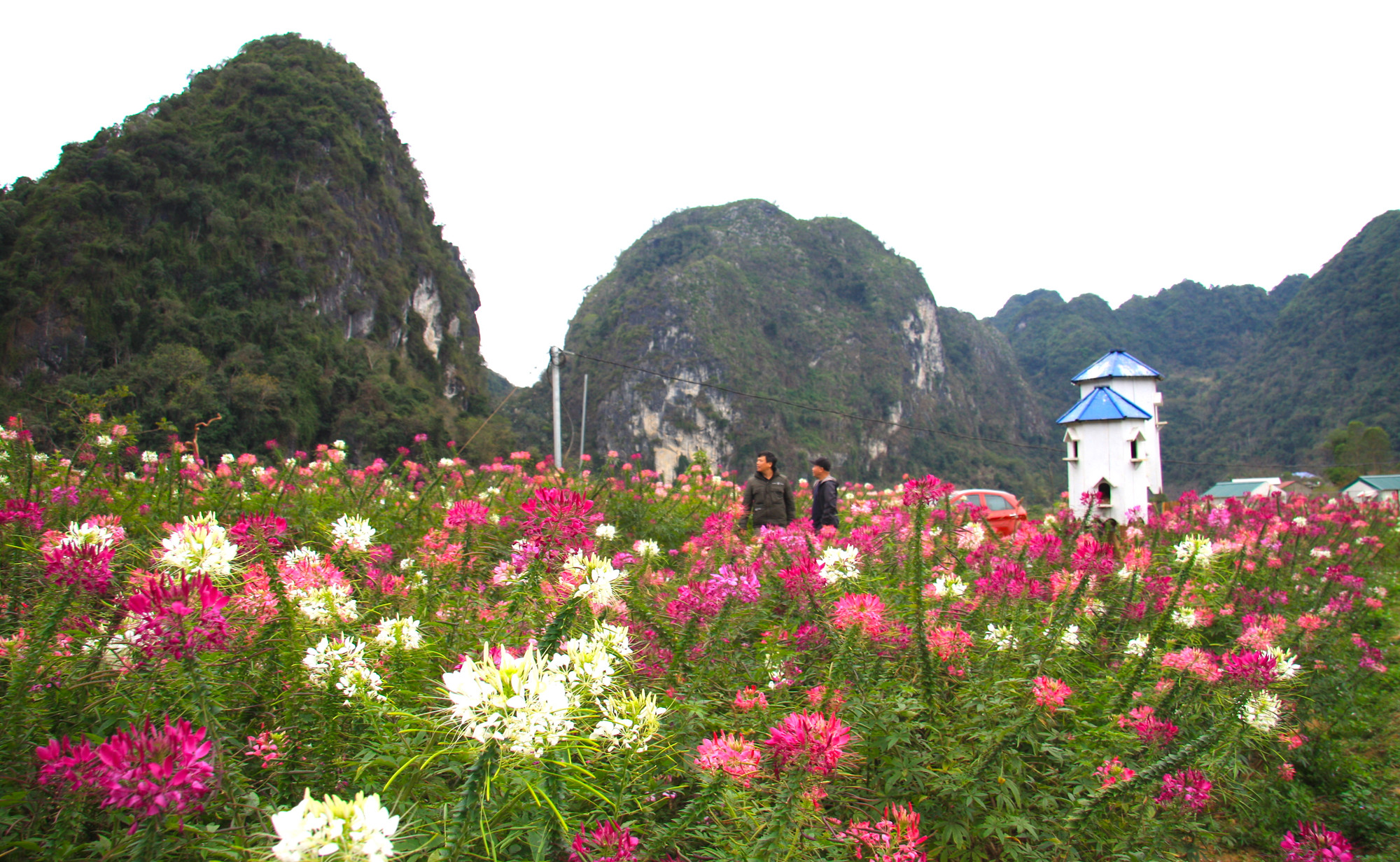 Xung quanh thảo nguyên Đồng Lâm cũng có nhiều điểm kết nối để du khách có thể tham quan như hồ Mỏ Áng, hồ Noong Dùng...