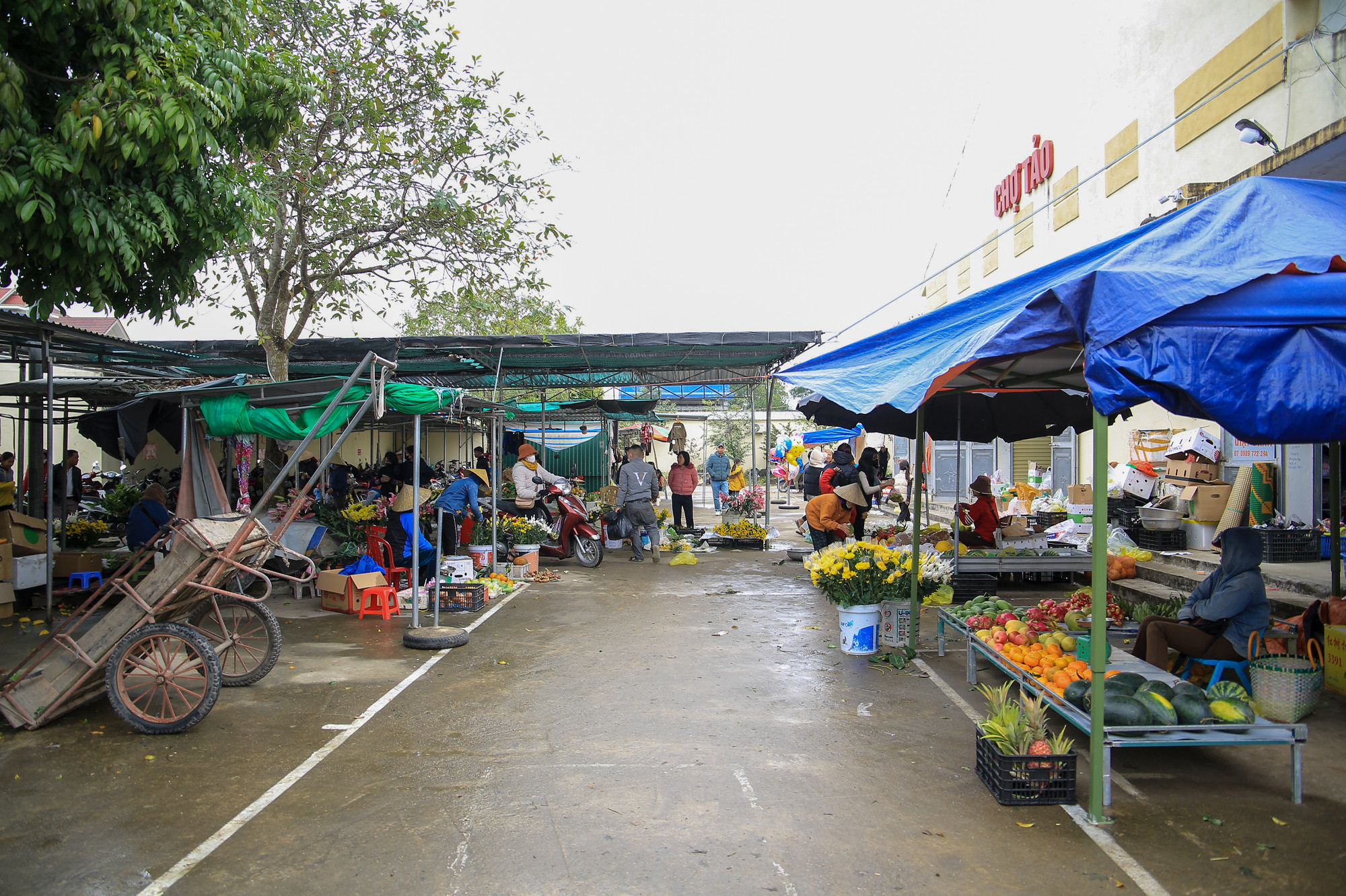Dạo một vòng quanh chợ, không khí Tết tràn ngập khắp nơi với đa dạng các mặt hàng, nhu yếu phẩm như cá, thịt, hoa quả, bánh kẹo, câu đối, đồ thờ cúng, trang trí Tết,... Dạo một vòng quanh chợ, không khí Tết tràn ngập khắp nơi với đa dạng các mặt hàng, nhu yếu phẩm như cá, thịt, hoa quả, bánh kẹo, câu đối, đồ thờ cúng, trang trí Tết,...