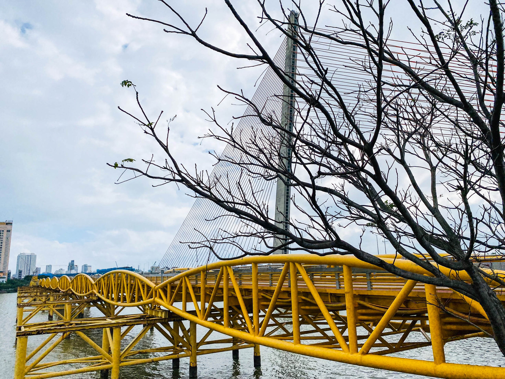 Cụ thể, giai đoạn 1 (năm 2024), cầu Nguyễn Văn Trỗi và khu vực công viên tổ chức một số hoạt động như: Trang trí điện chiếu sáng tạo điểm check-in; Triển lãm tranh ảnh và trưng bày sản phẩm, tác phẩm chuyên ngành định kỳ... Cụ thể, giai đoạn 1 (năm 2024), cầu Nguyễn Văn Trỗi và khu vực công viên tổ chức một số hoạt động như: Trang trí điện chiếu sáng tạo điểm check-in; Triển lãm tranh ảnh và trưng bày sản phẩm, tác phẩm chuyên ngành định kỳ...