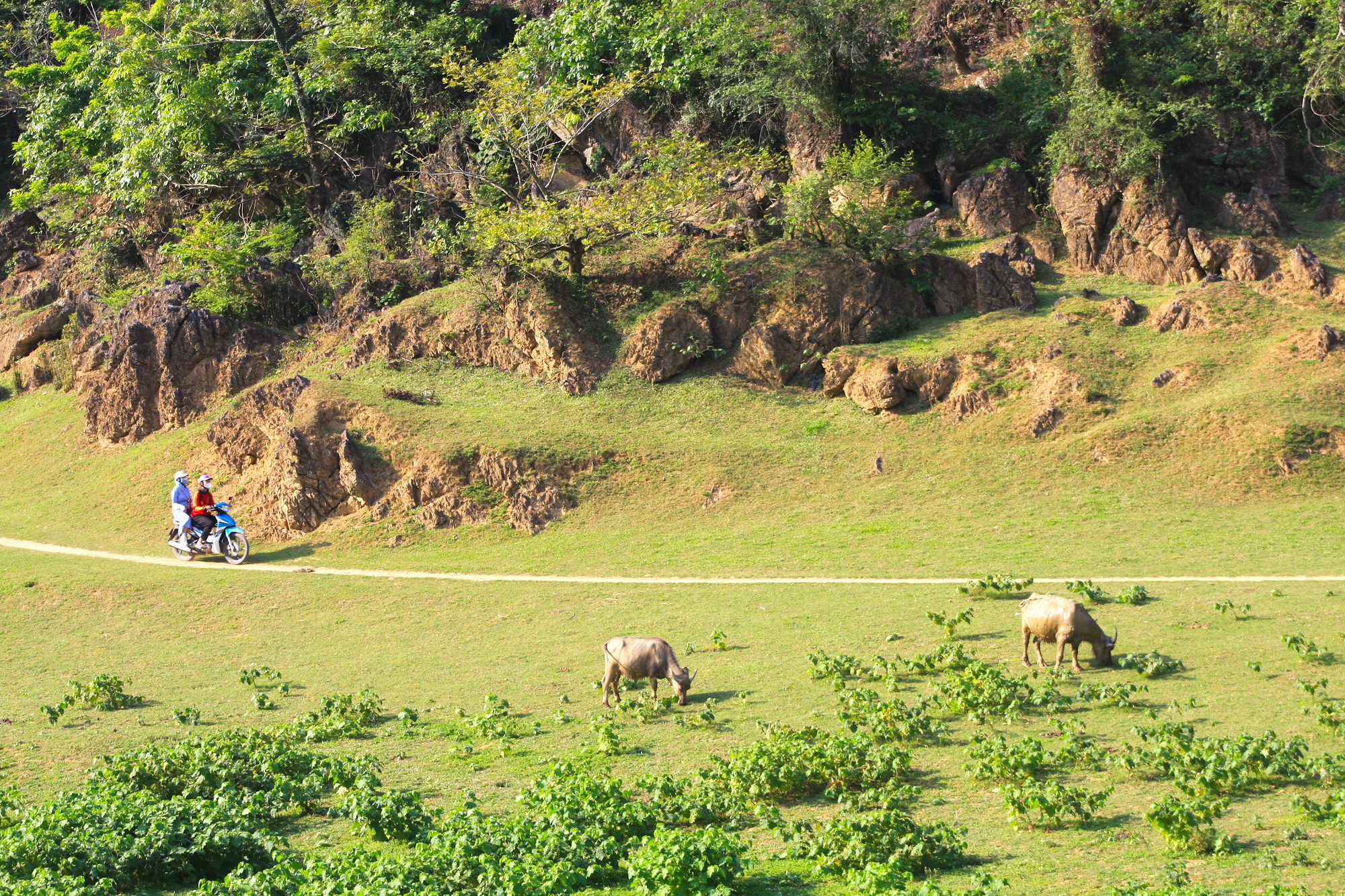 Du khách có thể tham quan, khám phá núi Mắt Thần bằng ôtô, đi bộ hoặc xe máy. Tuy nhiên, xe máy là phương tiện thuận lợi nhất để vào sâu trong thung lũng.