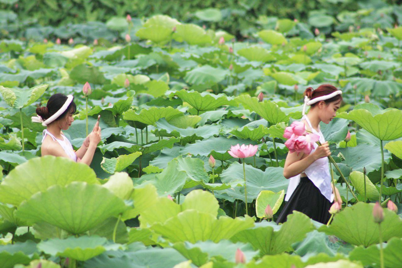 Điện thoại di động là phương tiện mà giới trẻ muốn lưu giữ hay chia sẻ nhanh nhất những khoảnh khắc đẹp lên mạng xã hội như Zalo, Facebook, Instagram… Điện thoại di động là phương tiện mà giới trẻ muốn lưu giữ hay chia sẻ nhanh nhất những khoảnh khắc đẹp lên mạng xã hội như Zalo, Facebook, Instagram…