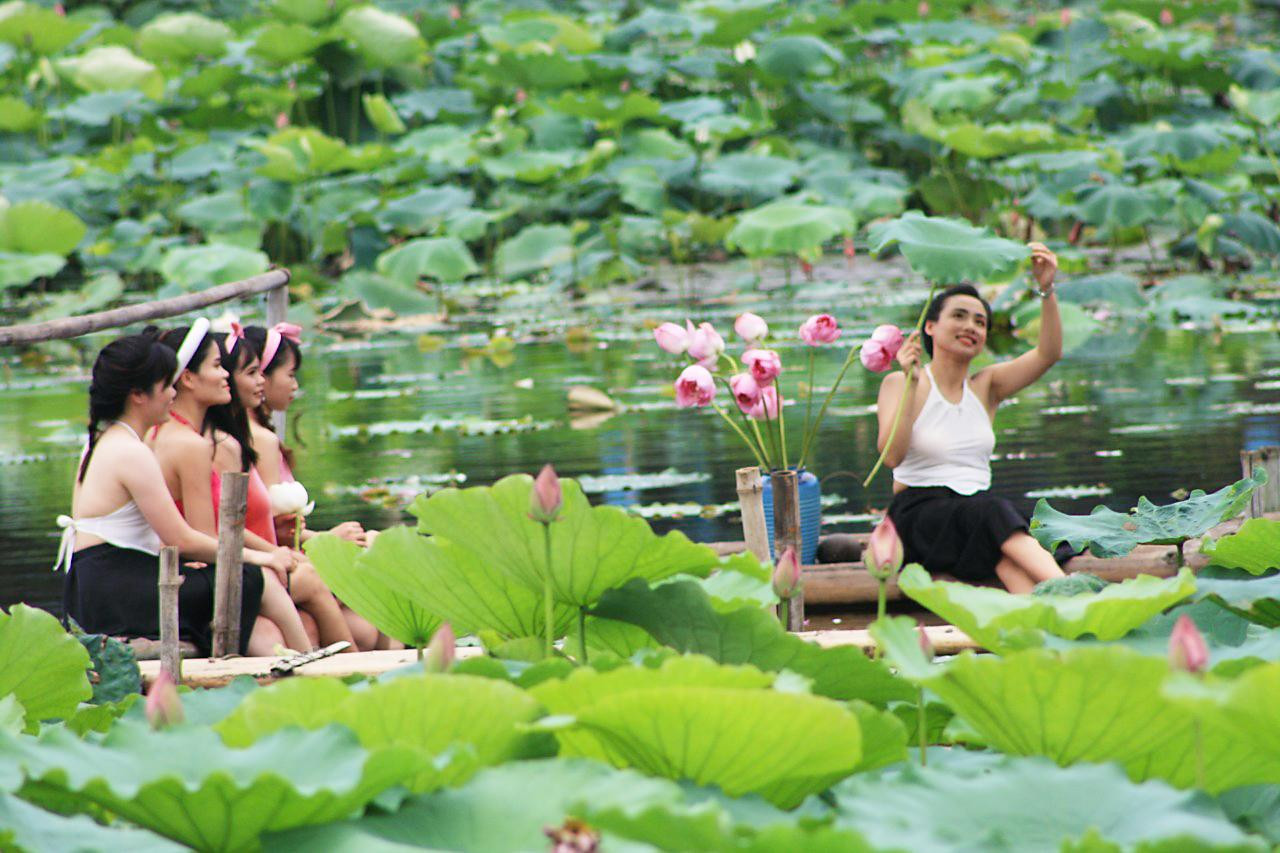 Khu vực đầm sen nhộn nhịp với những cô gái tạo dáng cùng áo dài, yếm, bà ba và đạo cụ đàn bầu, nón lá… để có được những bức hình độc lạ, ấn tượng lưu giữ nét đẹp tuổi thanh xuân. Khu vực đầm sen nhộn nhịp với những cô gái tạo dáng cùng áo dài, yếm, bà ba và đạo cụ đàn bầu, nón lá… để có được những bức hình độc lạ, ấn tượng lưu giữ nét đẹp tuổi thanh xuân.